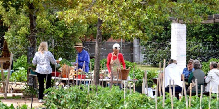 AfriForum-tak versterk inisiatiewe met skenkings aan twee steunpilare in Helderberg-gemeenskap