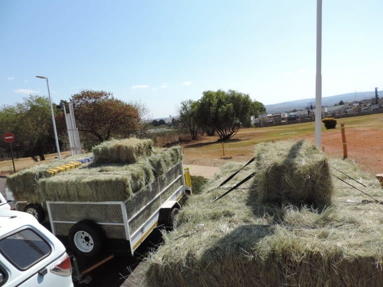 Krugersdorp-tak skenk 120 bale voer aan boer ná brand weiding vernietig