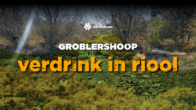 Groblershoop verdrink in riool.