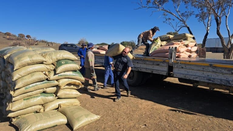 AfriForum en Saai skenk 10 ton voer vir droogtehulp