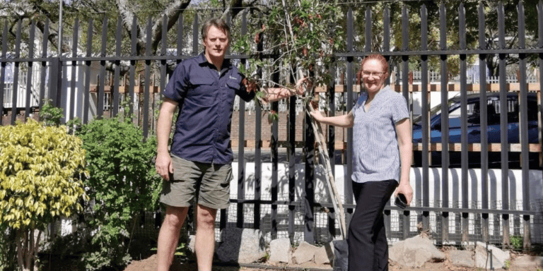 AfriForum kikker Huis Ina Rens se tuin op