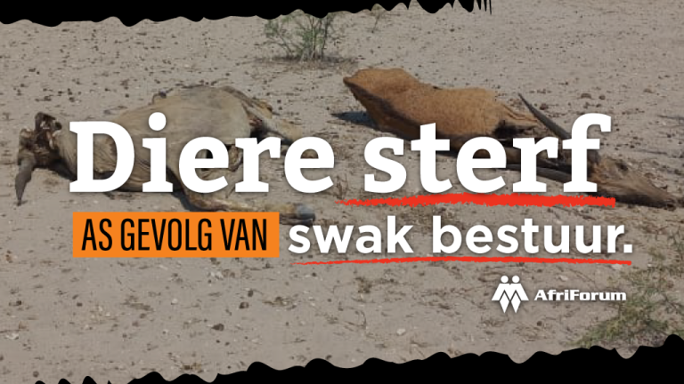 Diere sterf as gevolg van swak bestuur.